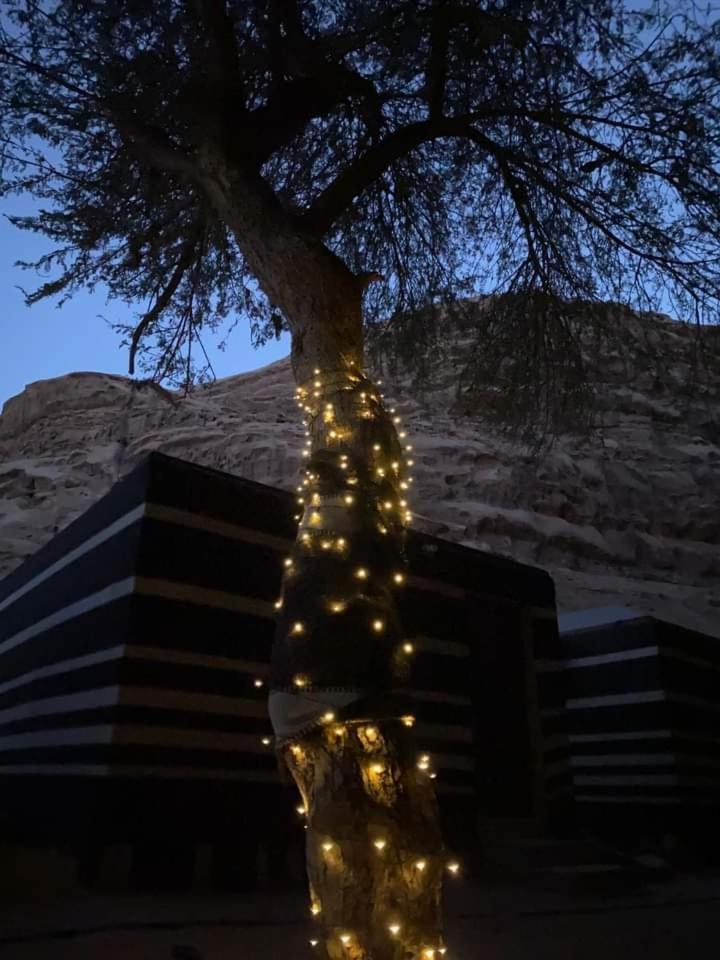 Shahrazad Desert, Wadi Rum Buitenkant foto